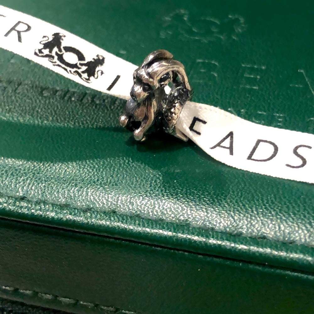 Authentic Trollbeads Sterling Silver Capricorn
